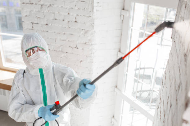 Best Emergency Mold Remediation  in Kingston Estates, NJ