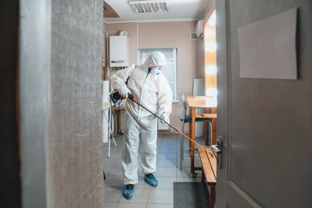 Best Forensic Mold Investigation  in Kingston Estates, NJ