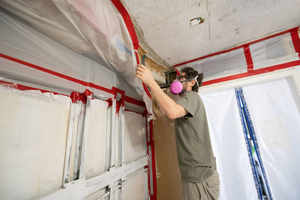 Environmental Consulting for Mold Prevention in Kingston Estates, NJ