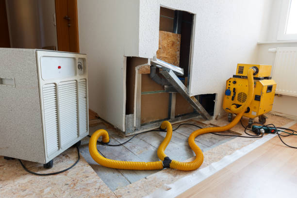 Best Mold Odor Removal Services  in Kingston Estates, NJ